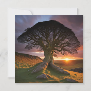 Ein einsamer Baum in der Natur