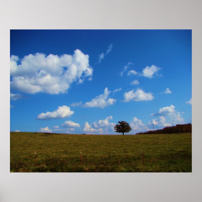 Ein einsamer Baum Poster (Vorne)