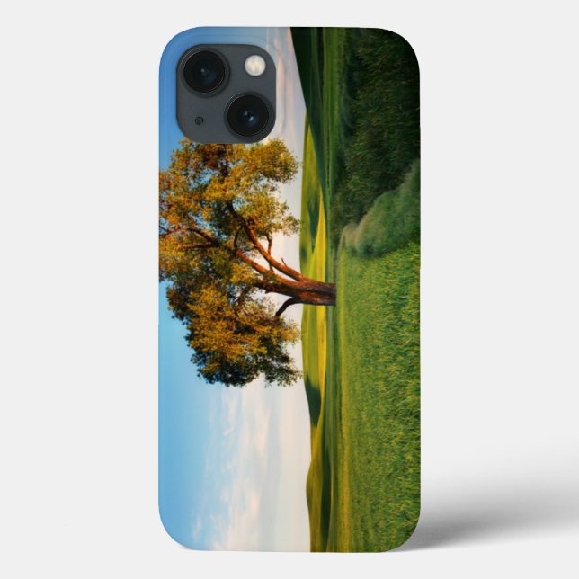 Ein einsamer Baum, umgeben von sanften Hügeln mit  Case-Mate iPhone Hülle (Rückseite)