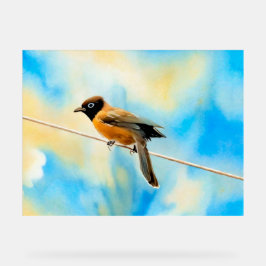 Ein einsamer bunter Vogel Acrylschild