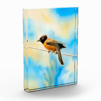 Ein einsamer bunter Vogel Fotoblock