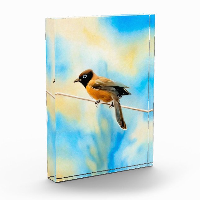 Ein einsamer bunter Vogel Fotoblock (Links)