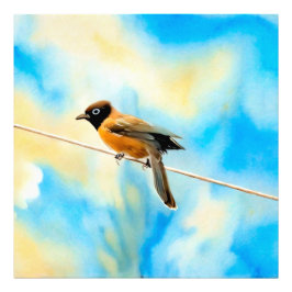 Ein einsamer bunter Vogel Fotodruck