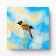 Ein einsamer bunter Vogel