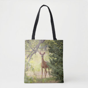 Ein einsamer Hirsch