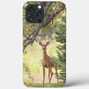 Ein einsamer Hirsch Case-Mate iPhone Hülle