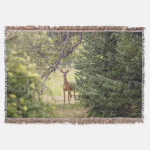 Ein einsamer Hirsch Decke