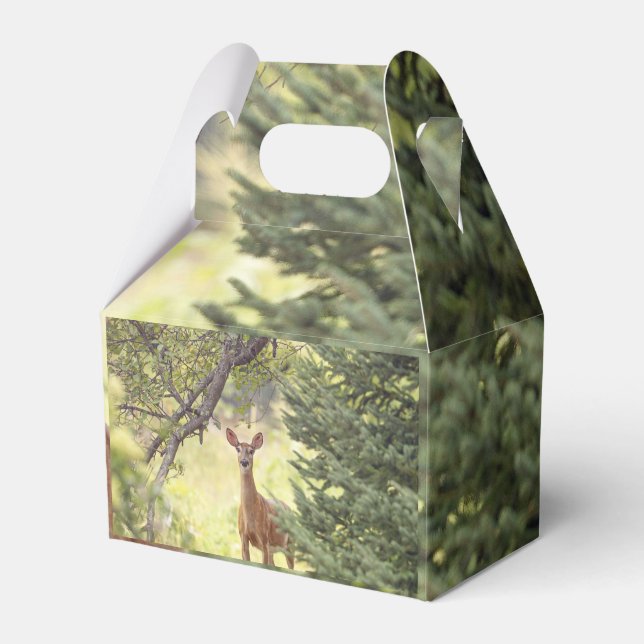 Ein einsamer Hirsch Geschenkschachtel (Vorderseite)