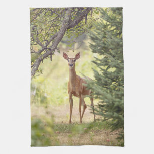 Ein einsamer Hirsch Geschirrtuch