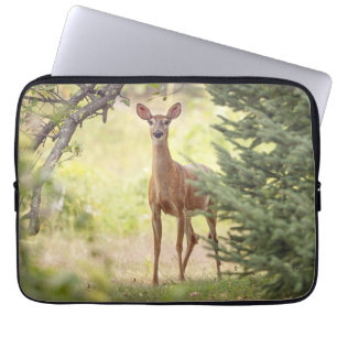 Ein einsamer Hirsch Laptopschutzhülle