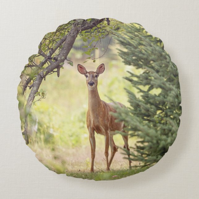 Ein einsamer Hirsch Rundes Kissen (Vorderseite)