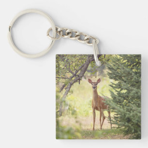 Ein einsamer Hirsch  Schlüsselanhänger