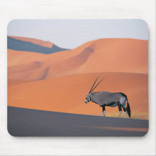 Ein einsames oryxes Antilope. Mousepad
