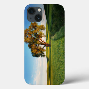 Ein einzelner Baum, umgeben von sanften Hügeln mit Case-Mate iPhone Hülle