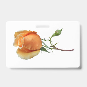 Ein einzelner Rosenschnitt     Ausweis