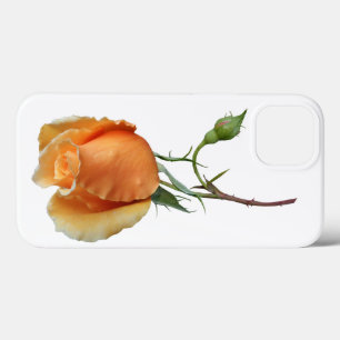 Ein einzelner Rosenschnitt Case-Mate iPhone Hülle