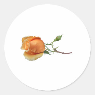 Ein einzelner Rosenschnitt     Runder Aufkleber