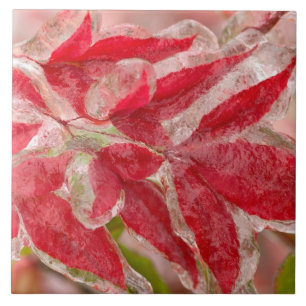 Ein Eissturm im Winter, der die Blätter von Fliese