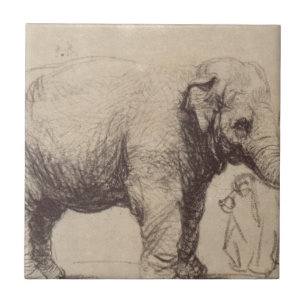 Ein Elefant durch Rembrandt Fliese