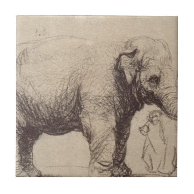 Ein Elefant durch Rembrandt Fliese (Vorderseite)