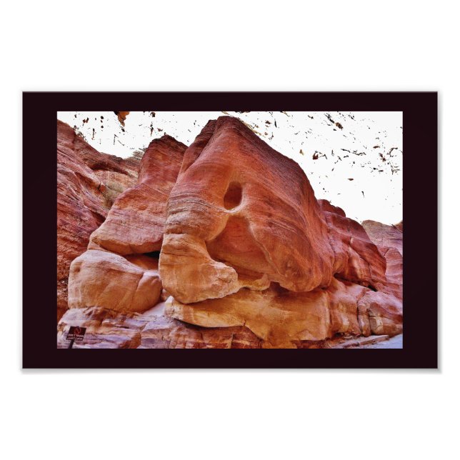 Ein Elefant in Petra Fotodruck (Vorne)