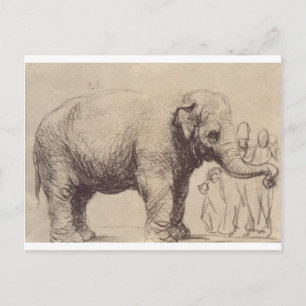 Ein Elefant von Rembrandt Postkarte