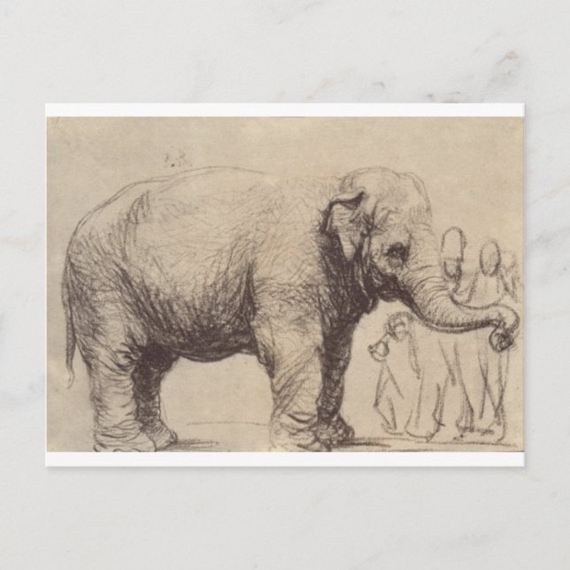 Ein Elefant von Rembrandt Postkarte (Vorderseite)
