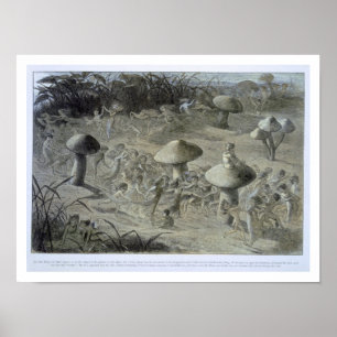 Ein Elfin-Tanz in der Nacht, Illustration von "In Poster