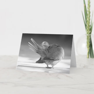 Ein Engel in der Himmel I Karte