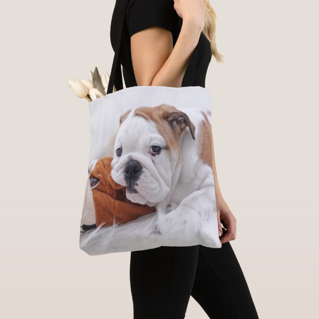 Ein englischer Bulldoggen-Welpe, der mit einer (Von Nahem)