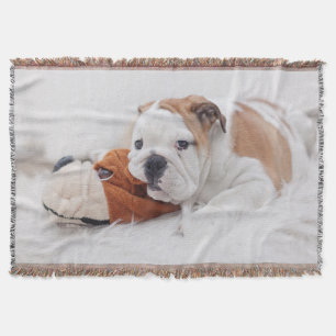 Ein englischer Bulldoggen-Welpe, der mit einer Decke