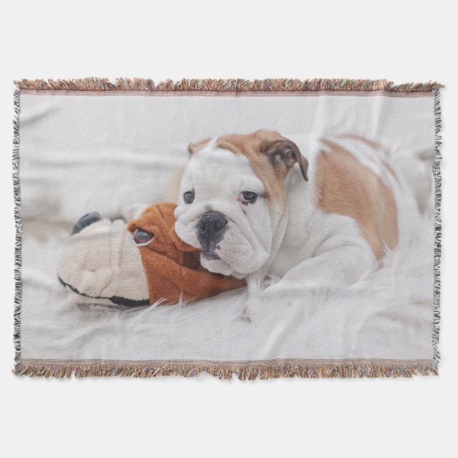 Ein englischer Bulldoggen-Welpe, der mit einer Decke (Vorderseite)