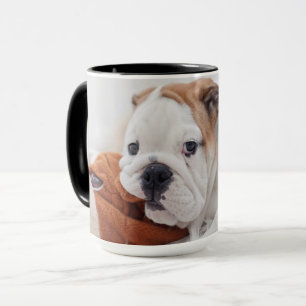 Ein englischer Bulldoggen-Welpe, der mit einer Tasse