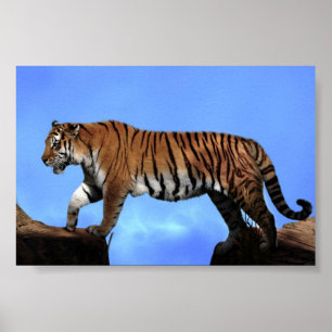 Ein Erfolg für Tiger Poster