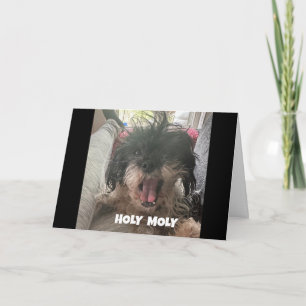 EIN ERNSTHAFTER HUND SAGT "GLÜCKLICH 40. GEBURTSTA KARTE