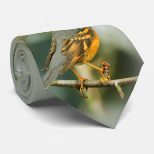 Ein erstaunlicher, aber sicherer, schöner, abwechs krawatte