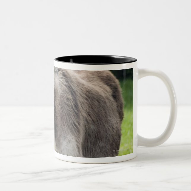 Ein Esel Zweifarbige Tasse (Rechts)
