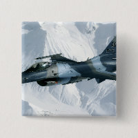 Ein F-16-Aggressor