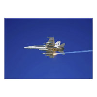 Ein F/A-18C-Hornet