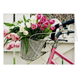 EIN FAHRRAD FÜR SIE