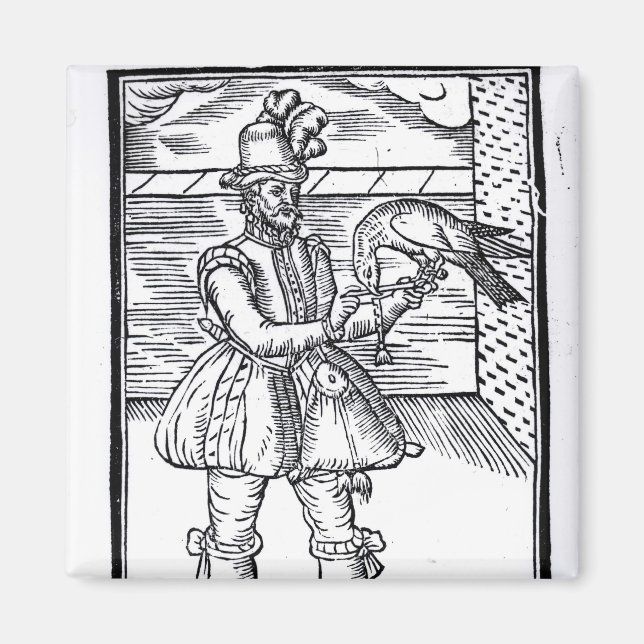 Ein Falconer mit seinem Goshawk Magnet (Vorne)