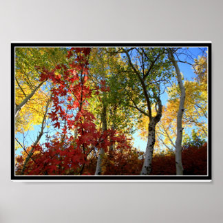 Ein fantastischer Fall (mit Grenze) Poster