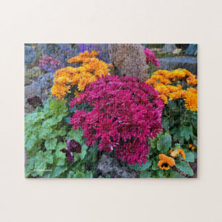 Ein farbenfrohes Durcheinander von Herbst-Chrysant Puzzle
