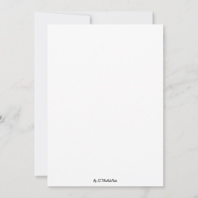 Ein faszinierendes Spektakel Einladung (Rückseite)