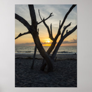 Ein fauler Sonnenaufgang Poster