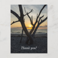 Ein fauler Sonnenaufgang