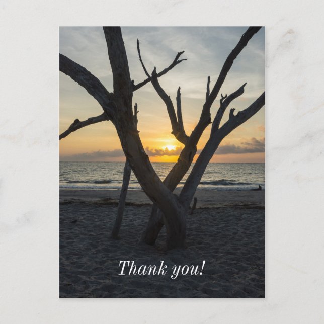 Ein fauler Sonnenaufgang Postkarte (Vorderseite)