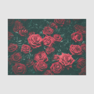 Ein "Feld" amerikanischer roter Rosen zwischen Blä Seidenpapier