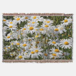 Ein Feld der Oxeye-Daisies an einem sonnigen Somme Decke
