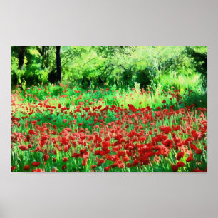 Ein Feld der roten Wildblumen Landschaftskunst Poster